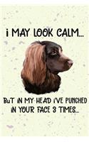 I May Look Calm But In My Head I've Punched In Your Face 3 Times