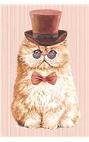 The Cat Lover Collection