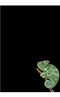 Chameleon Journal
