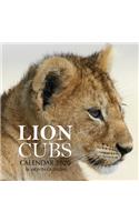 Lion Cubs Calendar 2020: 16 Month Calendar