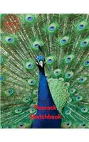 Peacock Sketchbook: (Sketchbook for Girls)