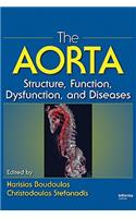 The Aorta