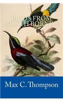 Birds from North Borneo