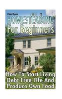 Homesteading For Beginners