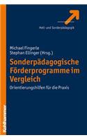 Sonderpadagogische Forderprogramme Im Vergleich