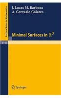Minimal Surfaces in R 3