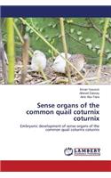 Sense organs of the common quail coturnix coturnix
