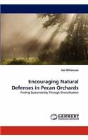 Encouraging Natural Defenses in Pecan Orchards