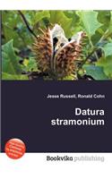 Datura Stramonium