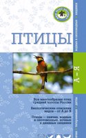 Ptitsy. Kratkii karmannii opredelitel'