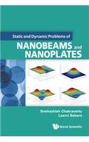 Static And Dynamic Problems Of Nanobeams And Nanoplates