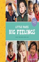 Little Faces Big Feelings: What Emotions Look Like: 2 (Little Feminist Presents)