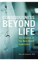 Consciousness Beyond Life