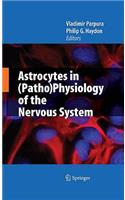 Astrocytes in (Patho)Physiology of the Nervous System