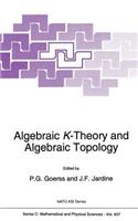 Algebraic K-Theory and Algebraic Topology