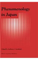 Phenomenology in Japan