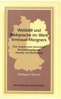 Weltbild Und Bildsprache Im Werk Irmtraud Morgners