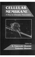 Cellular Membrane