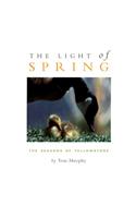 The Light of Spring