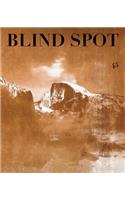 Blind Spot: Issue 45