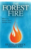 Forest Fire
