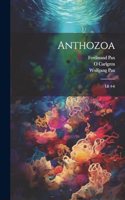 Anthozoa