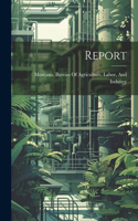Report