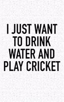 I Just Want to Drink Water and Play Cricket: A 6x9 Inch Matte Softcover Diary Notebook with 120 Blank Lined Pages and a Funny Sports Fanatic Cover Slogan