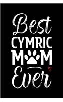 Best Cymric Mom Ever