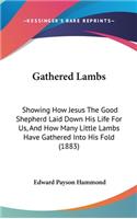 Gathered Lambs: Showing How Jesus The Good Shepherd Laid Down His Life For Us, And How Many Little Lambs Have Gathered Into His Fold (1883)