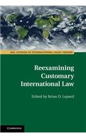 Reexamining Customary International Law