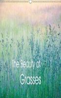 Beauty of Grasses 2018