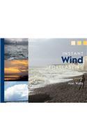 Instant Wind Forecasting