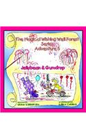 The Magical Wishing Well Forest Series