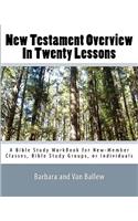 New Testament Overview In Twenty Lessons: A Bible Study Workbook For New-Member Classes, Bible Study Groups, Or Individuals