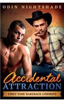 Accidental Attraction: An MM Straight to Gay Romance