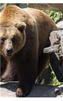 Well Hello There European Brown Bear Journal: 150 Page Lined Notebook/Diary