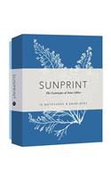 Sunprint Notecards: The Cyanotypes of Anna Atkins (12 Notecards; 12 Designs; Matching Envelopes; Keepsake Box): The Cyanotypes of Anna Atkins