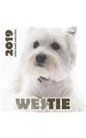 Westie 2019 Mini Wall Calendar