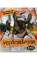 Velociraptor