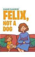 Felix, Not a Dog