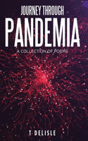 Journey Through Pandemia: A Collection of Poems