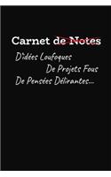 Carnet De Notes D'idées Loufoques De Projets Fous De Pensées Délirantes