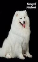 Samoyed Notebook: Sammy - Composition Book 150 pages 8.5 x 11 in. - College Ruled - Writing Notebook - Lined Paper - Soft Cover - Plain Journal