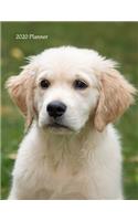 2020 Planner: Cute Golden Retriever Puppy 2020 Organizer; Monthly and Weekly 2020 Planner Journal