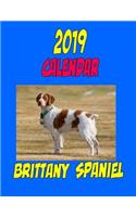 2019 Calendar Brittany Spaniel