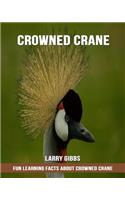 Fun Learning Facts about Crowned Crane