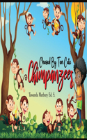 Chased By Ten Cute Chimpanzees