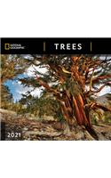 Cal 2021- National Geographic Trees Wall