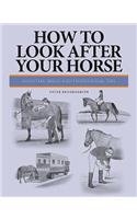 How to Look After Your Horse